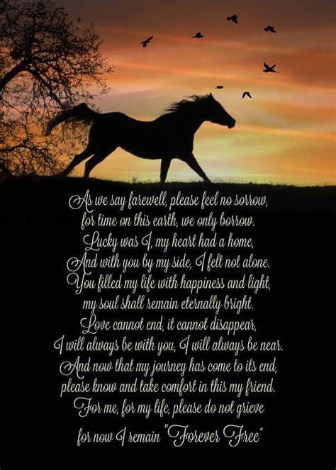 poems about losing a horse